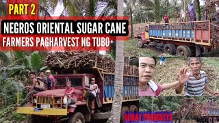 PART 2 NEGROS ORIENTAL SUGAR CANEFARMERS PAG HARVEST NG TUBO [upl. by Nrublim]