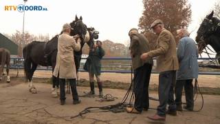 Laatste en oudste stalhouder in zwaar weer [upl. by Sidwohl]