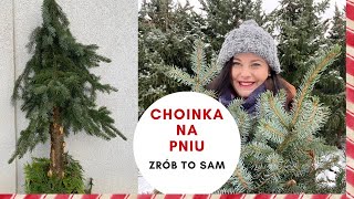 Choinka na pniu 🌲 zrób to sam  szybka świąteczna dekoracja DIY za darmo [upl. by Anehc]