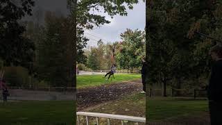 Zipline at Remlinger Farm [upl. by Haceber661]