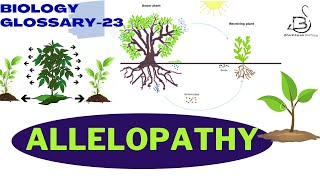 ALLELOPATHY  PLANT  Biology Glossary [upl. by Mackey988]