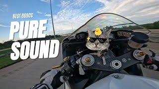 Yamaha R6 Pure Sound [upl. by Ennairrac]