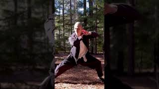 Chen style tai chi 18 movements taichi taiji taijiquan [upl. by Hajar]