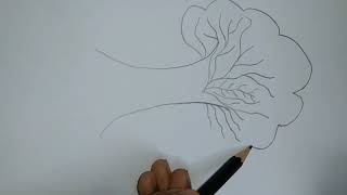 how to draw a picture part 1 [upl. by Varin]