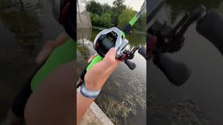 Scorpion DC vs SLX DC sound test 🔊ReelTalkFishin512 fishing shimano viralshort baitcaster [upl. by Ahsiral534]