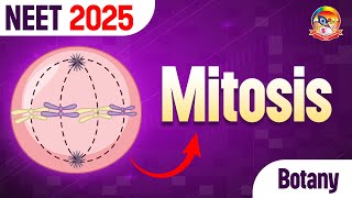 Mitosis  Most Important Questions of Mitosis  NEET Botany  srichaitanyagosala [upl. by Lebiram207]