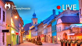 Michael Weiss Street Brasov  Pilvax Restaurant  🔴 Live Webcam [upl. by Nivrac]