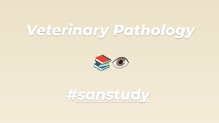 Veterinary Books  VetPathology 2nd year BVSC amp AH 📖📝✍️ [upl. by Sharleen]