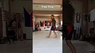 Double stick free flow bapomaeskrima btpmacombat fma martialarts arnis [upl. by Euqinay]