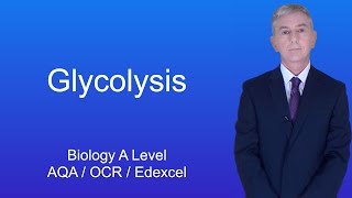 A Level Biology Revision quotGlycolysisquot [upl. by Yvad244]