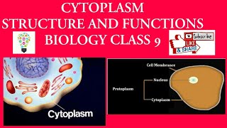 Cytoplasm Class 9 [upl. by Rehprotsirhc]