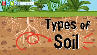 Types of Soil [upl. by Nawuj]