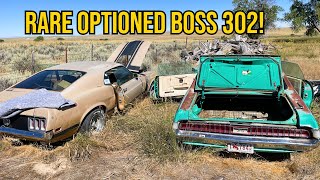 Special Boss 302s Cars Unearthed After 10 Years [upl. by Nnylecoj]