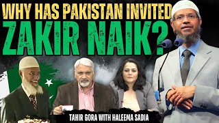 Why Has Pakistan Invited Zakir Naik  Tahir Gora amp Haleema Sadia [upl. by Sheilah]