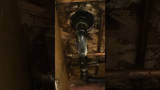 Toilet Drain Pipe Repair Company  Delta Plumbers emergencyplumber commercialplumbing plumbing [upl. by Ellahcim]