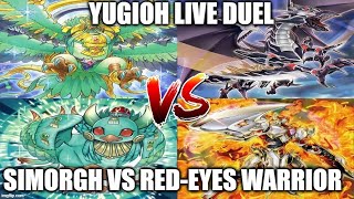 YUGIOH LIVE DUEL SIMORGH VS REDEYES WARRIOR SEPTEMBER 2020 YUGIOH [upl. by Aniratak996]