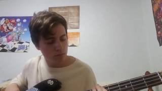 Alex G  Mary  Bass Cover [upl. by Shih]