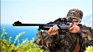 Top 4 Best Gamo Air Rifles To Buy in 2024 [upl. by Ienttirb244]