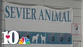 Sevier Animal Care Center asking for donations to finish furnish new shelter facility [upl. by Alenas]