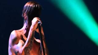 Red Hot Chili Peppers  Brendans Death Song  Live in Köln 2011 HD [upl. by Pomfret]