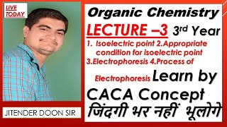 Bsc Final  isolectric point  electrophoresis  process of electrophoresis organic chemistry l3 [upl. by Felisha]