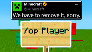 The Powerful Minecraft EXPLOIT Mojang Didnt Want to Fix [upl. by Notnilc]