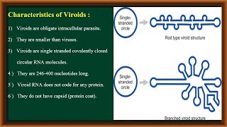 Viroids [upl. by Allie]