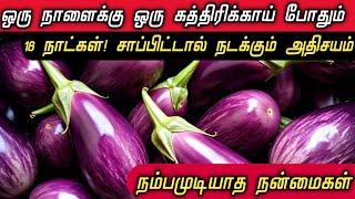 ஒரு நாளைக்கு ஒரு கத்திரிக்காய் போதும் மருத்துவ பயன்கள்  Brinjal  Kathirikkai benefits Tamil [upl. by Ettelohcin]