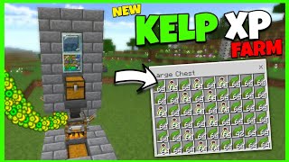 The BEST KELP XP FARM TUTORIAL in Minecraft Bedrock 120 [upl. by Anev391]