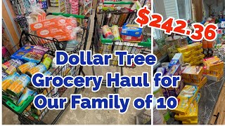 MY FiRST DOLLAR TREE GROCERY HAUL for Our Family of 10 [upl. by Trautman]