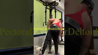 Pectoral flyRear Deltoidshort video [upl. by Halonna401]