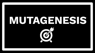 What is mutagenesis [upl. by Gage]