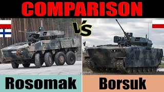 Borsuk vs Rosomak comparison [upl. by Mauldon]