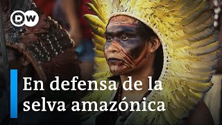 La Amazonía en peligro los pueblos originarios y su lucha por la selva  DW Documental [upl. by Winikka689]