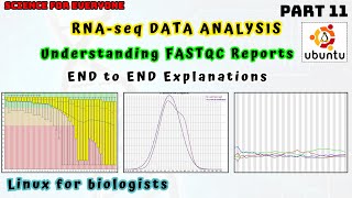 Understanding the concepts behind FASTQC reports  Complete Explanation [upl. by Raybourne]