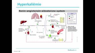 Samenvatting Cardiovasculaire middelen Module C [upl. by Pollock]