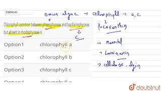 Chlorophyll common between phaeophyceae and bacillariophyceae but absent in rhodophyceae is [upl. by Suoinuj919]