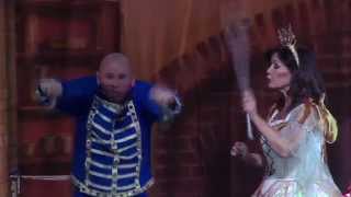 Cinderella Pantomime 2014 Ipswich Regent [upl. by Munshi]