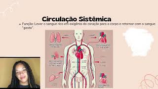 Circulação Sistêmica e Pulmonar [upl. by Suiramad]