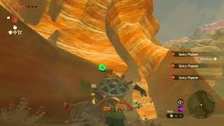 DAY 371 of finding one korok seed in TotK everyday until a new Zelda game comes out [upl. by Nochur]