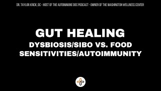 GUT HEALING   DysbiosisSIBO vs Food SensitivitiesAutoimmunity [upl. by Trisha537]