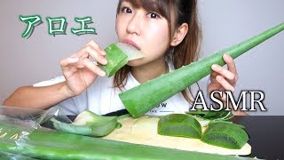 【ASMR】巨大アロエベラを食べる音Sound Eating Aloe Vera [upl. by Welford271]