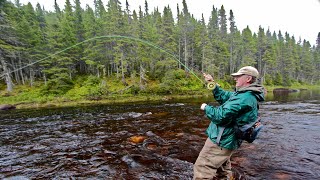 Steelhead amp Salmon on a Fly  How To [upl. by Arawaj]