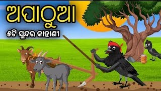 ଅପାଠୁଆ  Apathua  Tuni Chidiya  Odia Bird StoriesOdia Gapa Odia Moral Story Tiki Chadei [upl. by Ellinej]