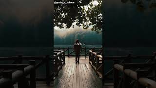 Chly jvange na mud awange  WhatsApp status Jass Manak  Satinder Sartaj  Beet janiyan shorts [upl. by Choong]