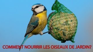 Oiseaux du jardin Sachez les nourrir [upl. by Flavius]