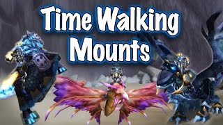 Jessiehealz  Timewalker Mounts Display World of Warcraft [upl. by Anoirb]