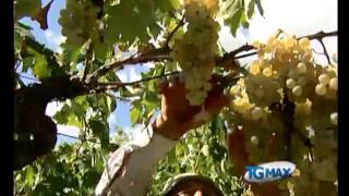 Due giorni con Anteprima montepulciano dAbruzzo [upl. by Alene]