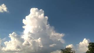 cumulus cloud turning into cumulonimbus cloud [upl. by Turnbull882]