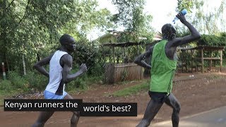 Kenyan Runners Thriving on The 801010 Diet [upl. by Patrick287]